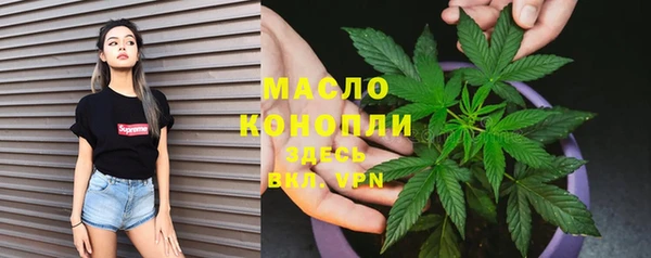 дживик Арсеньев