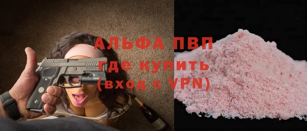 дживик Арсеньев